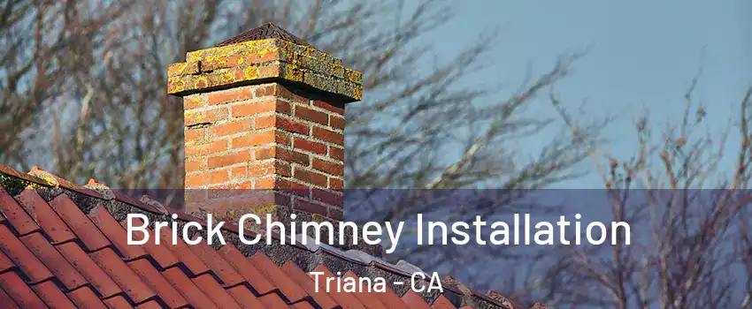 Brick Chimney Installation Triana - CA