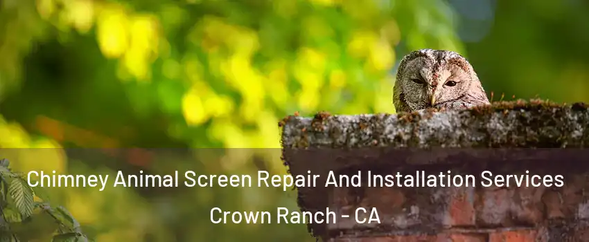 Chimney Animal Screen Repair And Installation Services Crown Ranch - CA