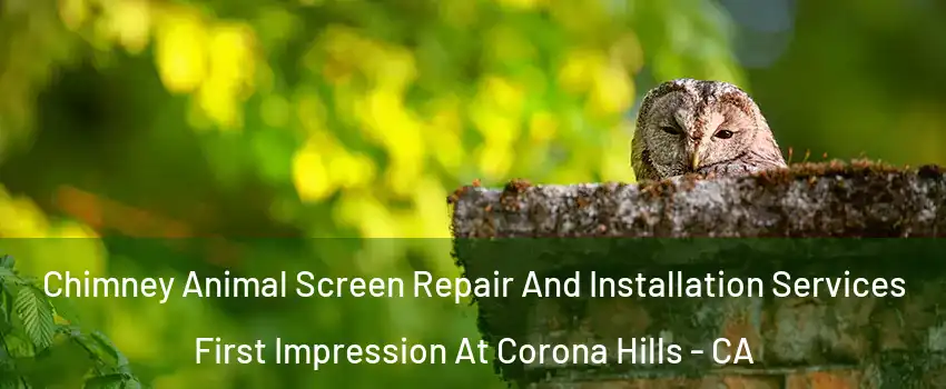 Chimney Animal Screen Repair And Installation Services First Impression At Corona Hills - CA