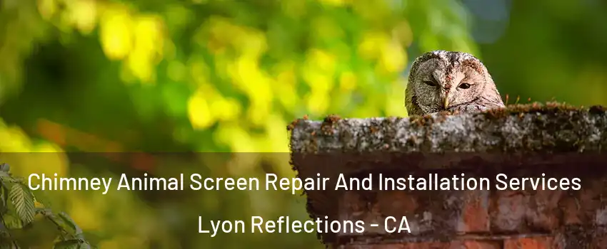 Chimney Animal Screen Repair And Installation Services Lyon Reflections - CA