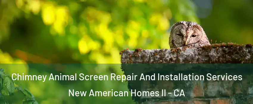 Chimney Animal Screen Repair And Installation Services New American Homes II - CA