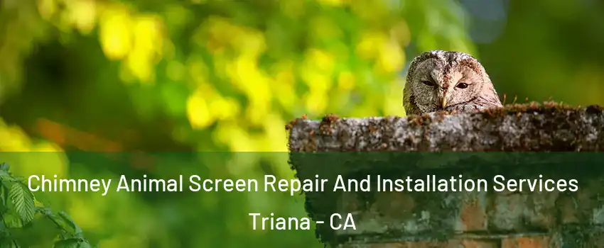 Chimney Animal Screen Repair And Installation Services Triana - CA