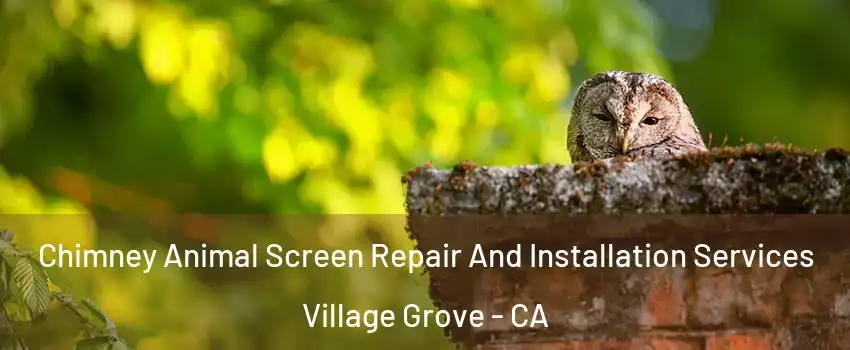 Chimney Animal Screen Repair And Installation Services Village Grove - CA