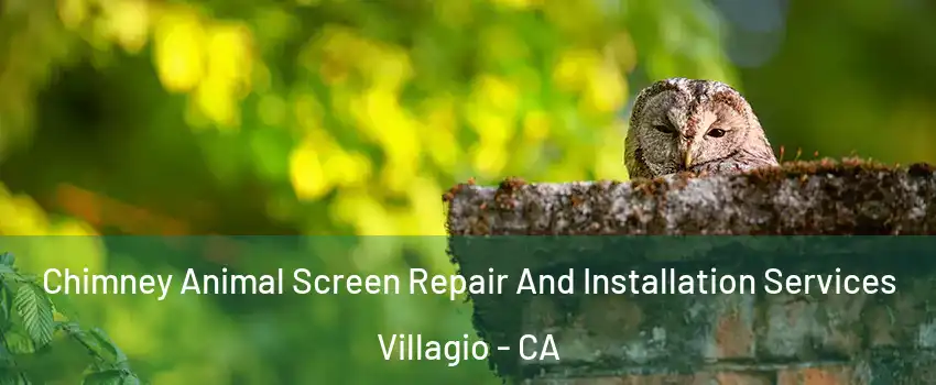 Chimney Animal Screen Repair And Installation Services Villagio - CA