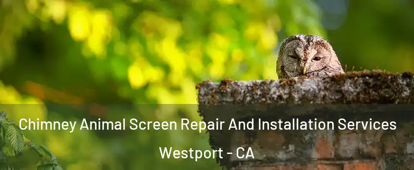 Chimney Animal Screen Repair And Installation Services Westport - CA