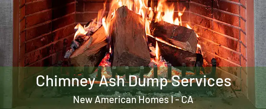 Chimney Ash Dump Services New American Homes I - CA