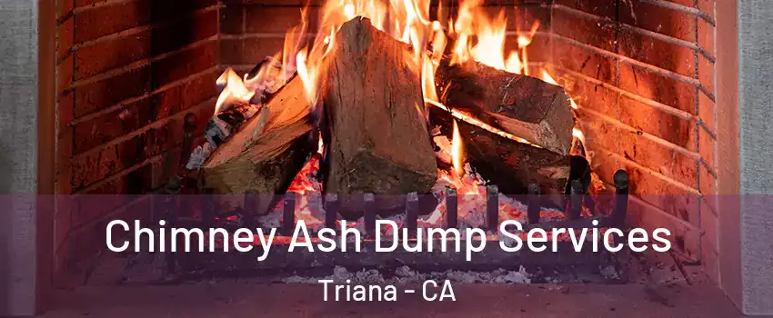 Chimney Ash Dump Services Triana - CA