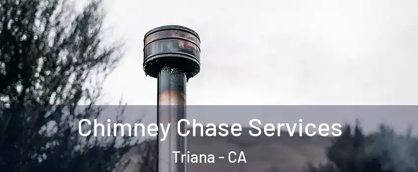 Chimney Chase Services Triana - CA