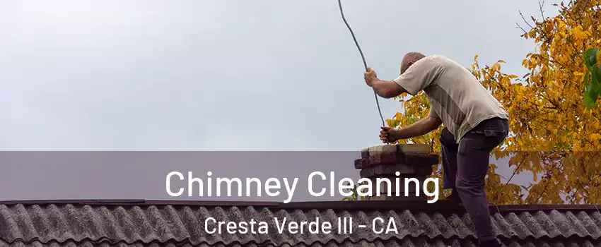 Chimney Cleaning Cresta Verde III - CA