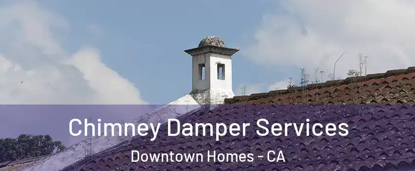 Chimney Damper Services Downtown Homes - CA