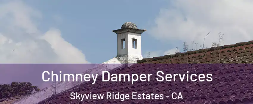 Chimney Damper Services Skyview Ridge Estates - CA