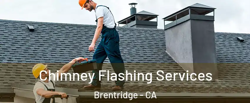 Chimney Flashing Services Brentridge - CA