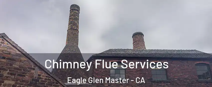 Chimney Flue Services Eagle Glen Master - CA