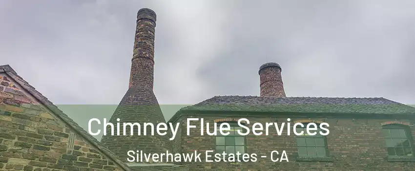 Chimney Flue Services Silverhawk Estates - CA