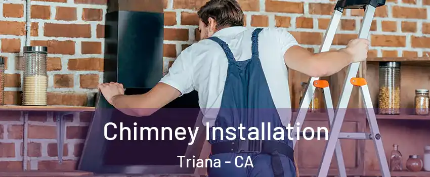 Chimney Installation Triana - CA