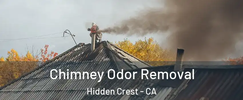 Chimney Odor Removal Hidden Crest - CA