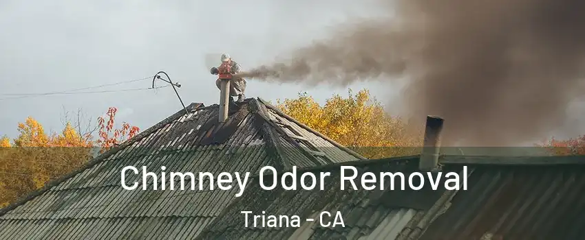 Chimney Odor Removal Triana - CA