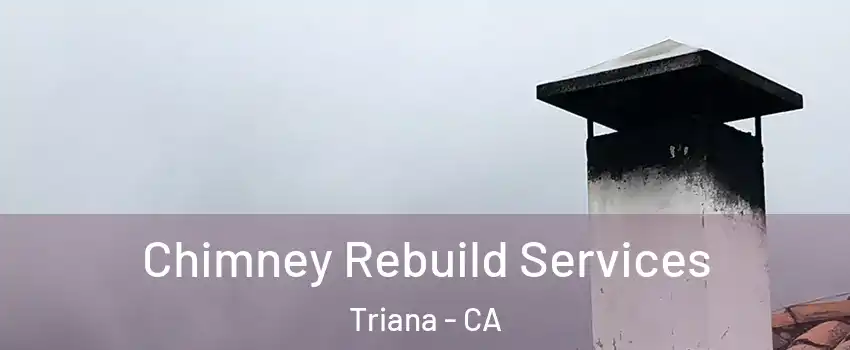 Chimney Rebuild Services Triana - CA