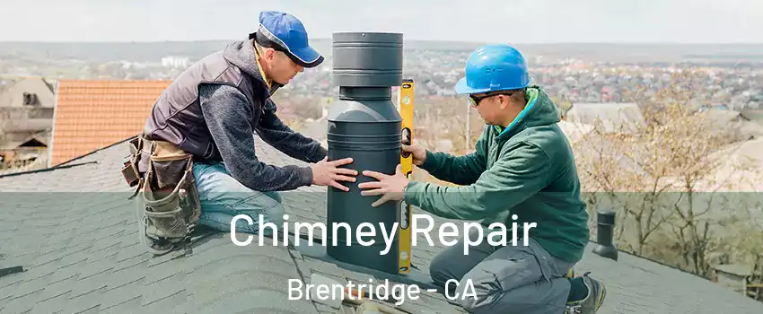 Chimney Repair Brentridge - CA