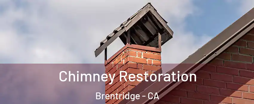 Chimney Restoration Brentridge - CA