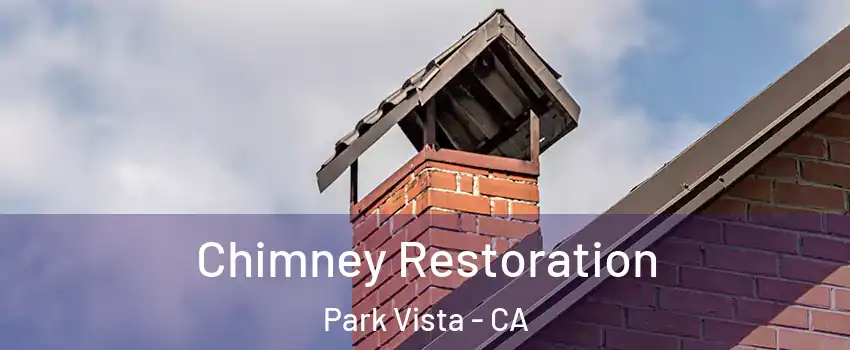 Chimney Restoration Park Vista - CA