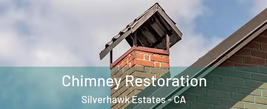 Chimney Restoration Silverhawk Estates - CA