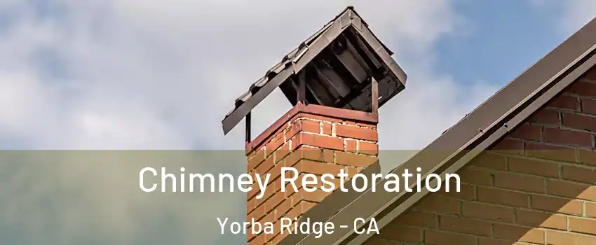 Chimney Restoration Yorba Ridge - CA