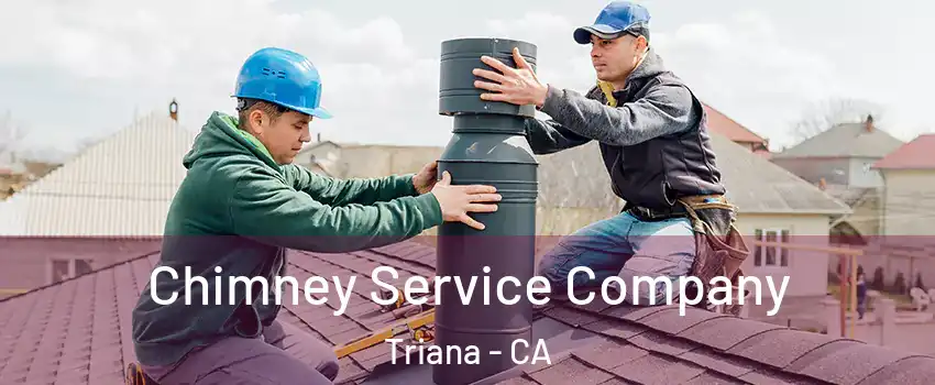 Chimney Service Company Triana - CA