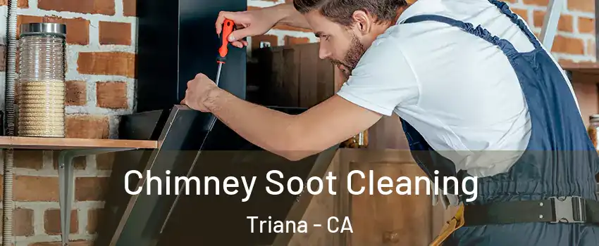 Chimney Soot Cleaning Triana - CA