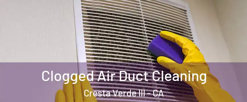 Clogged Air Duct Cleaning Cresta Verde III - CA