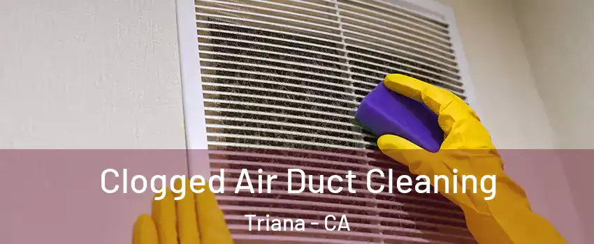 Clogged Air Duct Cleaning Triana - CA