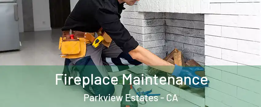 Fireplace Maintenance Parkview Estates - CA