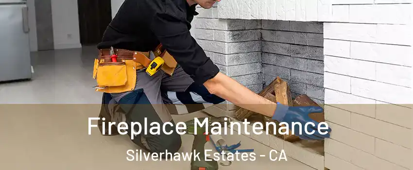 Fireplace Maintenance Silverhawk Estates - CA