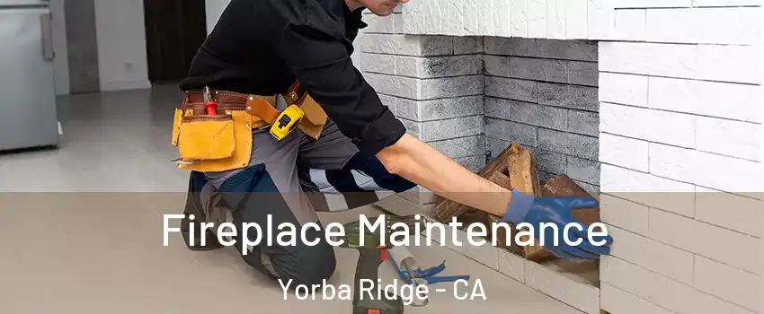 Fireplace Maintenance Yorba Ridge - CA