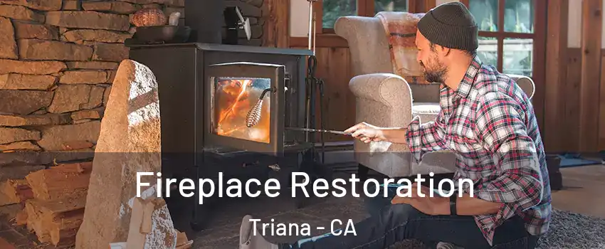 Fireplace Restoration Triana - CA