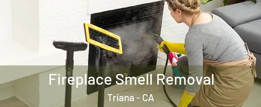 Fireplace Smell Removal Triana - CA