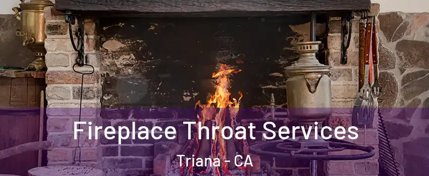 Fireplace Throat Services Triana - CA