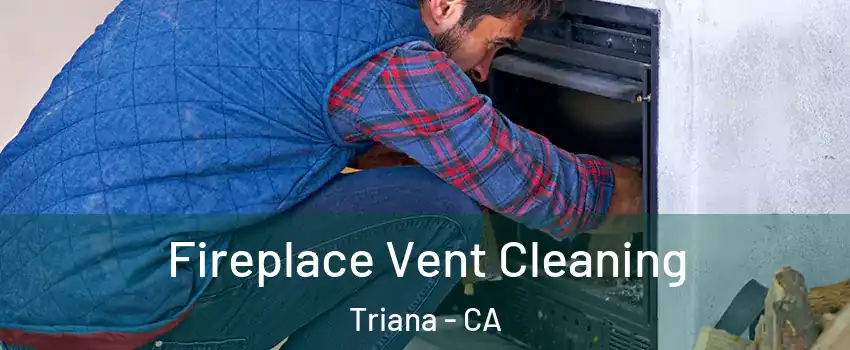 Fireplace Vent Cleaning Triana - CA