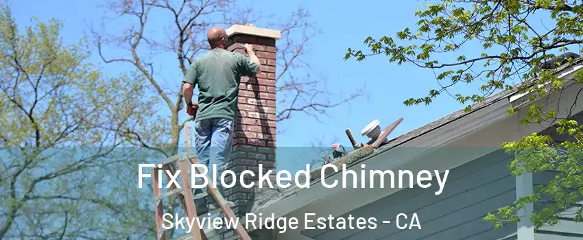 Fix Blocked Chimney Skyview Ridge Estates - CA