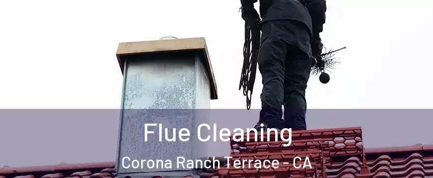 Flue Cleaning Corona Ranch Terrace - CA