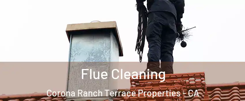 Flue Cleaning Corona Ranch Terrace Properties - CA