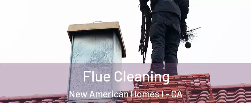 Flue Cleaning New American Homes I - CA