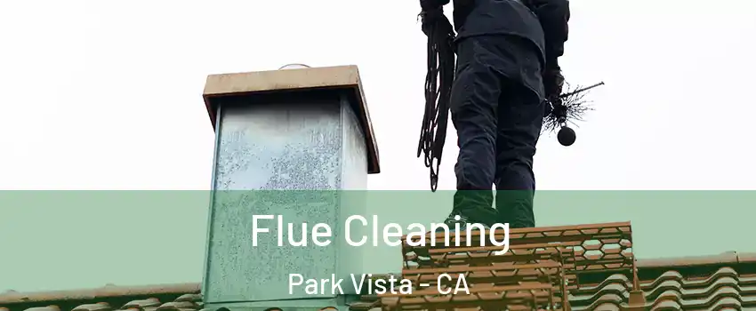 Flue Cleaning Park Vista - CA