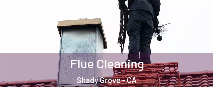 Flue Cleaning Shady Grove - CA