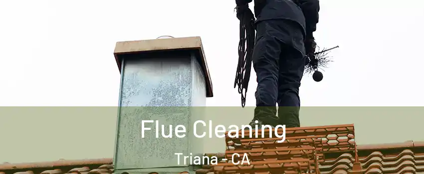 Flue Cleaning Triana - CA