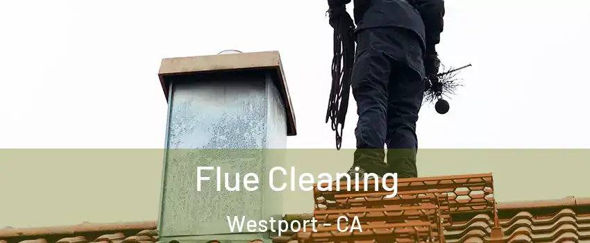 Flue Cleaning Westport - CA