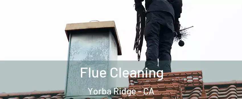 Flue Cleaning Yorba Ridge - CA