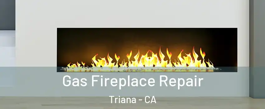 Gas Fireplace Repair Triana - CA