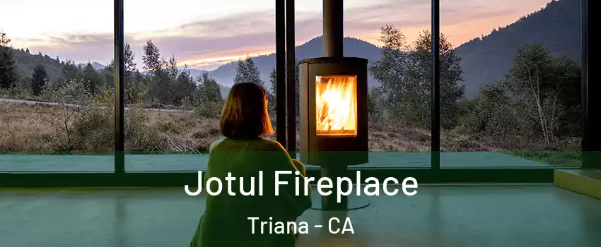 Jotul Fireplace Triana - CA