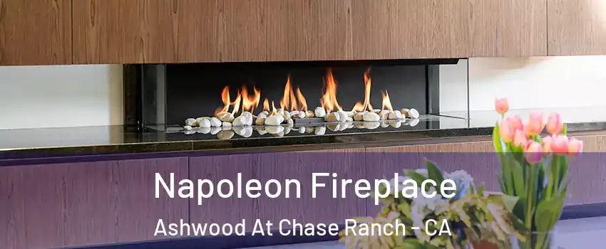 Napoleon Fireplace Ashwood At Chase Ranch - CA